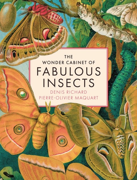The Wonder Cabinet of Fabulous Insects: Secrets of the World’s Rarest and Strangest Insects